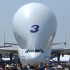 Beluga