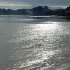 Mer scintillante