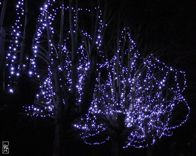 Christmas lights - Lumières de Noël